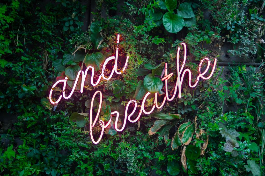 a background of foliage, with a neon sign that reads 'and breathe'
